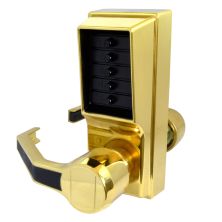 DORMAKABA Simplex L1000 Series L1031 Digital Lock Lever Operated With Passage Set